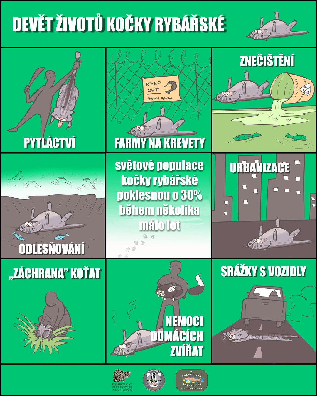 9 životů kočky rybářské.jpg